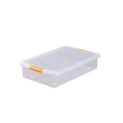 Storage Case, Thin Type Box (Iris Ohyama)