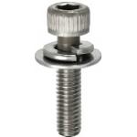 Socket Head Cap Screws with Large Washer Set
