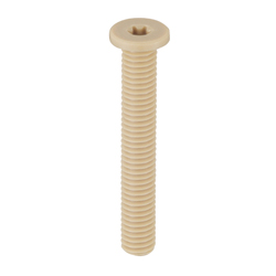 塑料螺絲——超低頭,內梅花頭螺釘,PEEK / SH