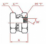液壓軟管適配器連接PF - PT 30°MIS插座,1051係列